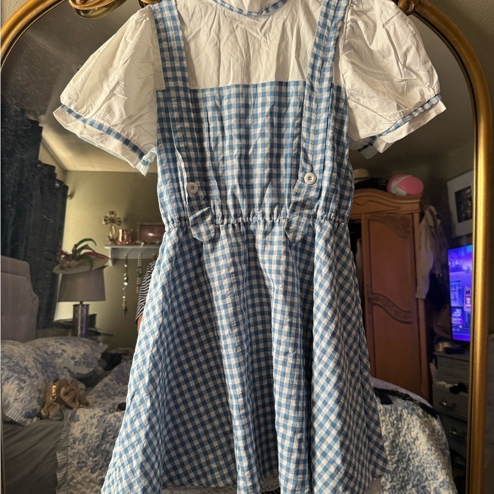 Dorothy Blue Gingham Pinafore Dress costume with wig - Picture 2 of 9